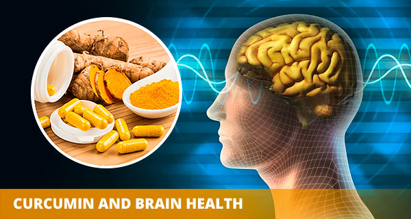 brain benefits of curcumin