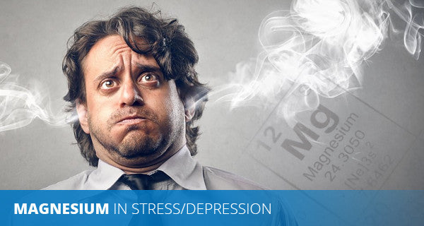 Magnesium and Stress
