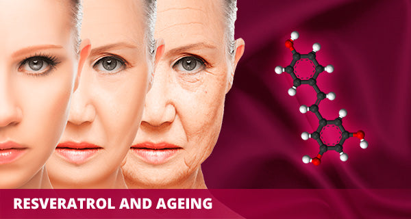 Resveratrol y envejecimiento
