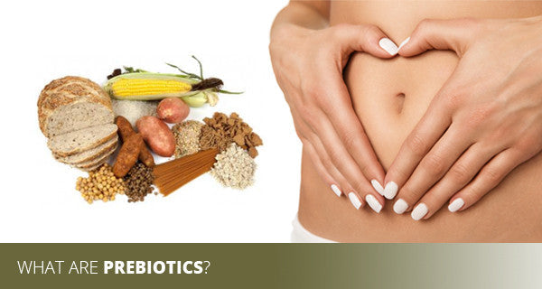 Best prebiotics