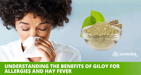 discover the amazing benefits of giloy for allergies and hayfever 