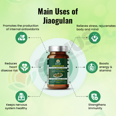 Antioxidant, adaptogen and stamina bundle | SANUSq Health