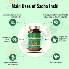 Omega 3 bundle | SANUSq Health